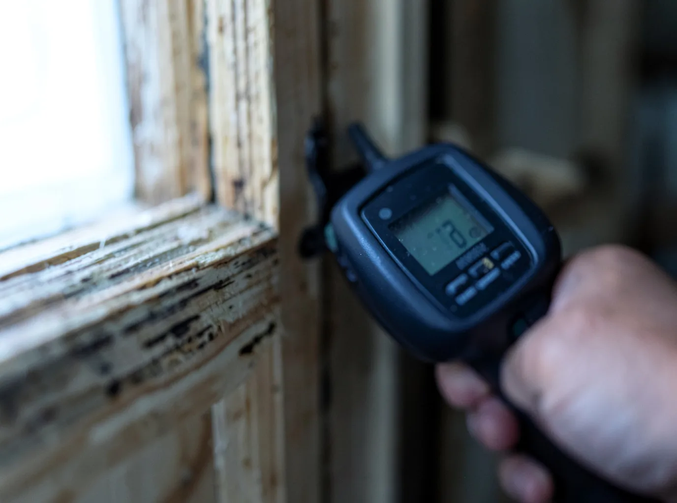 Moisture Inspection And Documentation in Pine City, MN